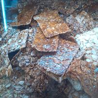 Croccantini alla mandorla